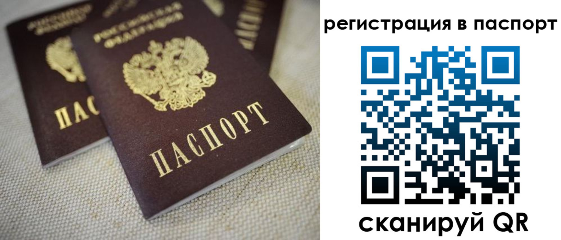 прописка гарантия в Тверской области